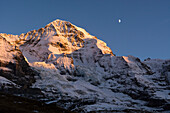The summit of Moench in the last light of the sun, with the moon above, Bernese Alps, cantons of Bern and Valais, Switzerland