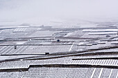 Snow-covered vineyards between the towns of Martigny and Sion, Rhône Valley, canton of Valais, Switzerland