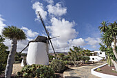 Restaurierte Mühle von Antigua, Museo Molino, Kanarische Inseln, Fuerteventura, Kanaren, Spanien