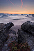 View from Gleitmannshorn over the small Zschand at dawn with rocks and blooming heather in the foreground, Kleiner Winterberg, National Park Saxon Switzerland, Saxony, Germany