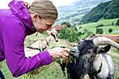 Frau füttert einen Ziegenbock, Chiemgau, Bayern, Deutschland