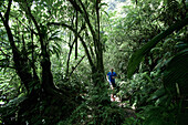 Young man running through a jungle, Dominica, Lesser Antilles, Caribbean