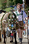 Man wearing traditional clothes with a decorated cattle, Viehscheid, Allgau, Bavaria, Germany