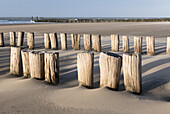 Strand, Buhne, Domburg, Nordsee-Küste, Provinz Seeland, Niederlande