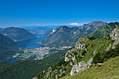 Gams vor Luganer See mit dem höchsten Berg der Schweiz, der schneebedeckten Dufourspitze (4634 m) im Monte Rosa Massiv, Italien und Schweiz