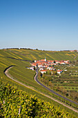 View across Escherndorfer Lump vineyard to Escherndorf in autumn, near Escherndorf, Franconia, Bavaria, Germany