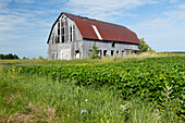Farmland mit alter Scheune im Feld, Provinz Quebec, Kanada