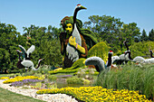 Pflanzenskulptur, Mosaiculture Ausstellung 2013, Montreal, Provinz Quebec, Kanada