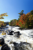 Herbstfarben am Riviere du Nord, Laurentians Region, Provinz Quebec, Kanada