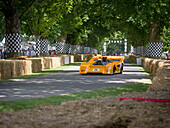 1971 McLaren-Chevrolet M8F Car racing car, Goodwood Festival of Speed 2014, racing, car racing, classic car, Chichester, Sussex, United Kingdom, Great Britain