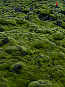 young woman between moss covered lava fields of Eldhraun at Ring road near Kirkjubaerklaustur, Southern Iceland, Iceland, Europe