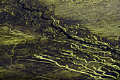 Luftbild (Aerial) von Flusslauf und Mustern fluoreszierender Moose,  Veidivötn, Hochland, Südisland, Island, Europa