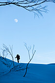 Backcountry skier and moon at dusk in the Tennengebirge mountains, Bischofsmuetze in the background, Salzburg, Austria