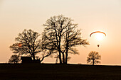 Motor-Gleitschirm neben Bäumen bei Sonnenuntergang, Penzberg, Oberbayern, Deutschland