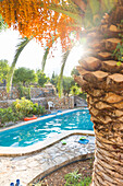 Ferienhaus im Orangenhain, Swimmingpool mit Palme, Urlaub, Finca, Erholung, Freizeit, Soller, Serra de Tramuntana, Mallorca, Balearen, Spanien, Europa