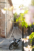 romantisches Bergdorf Biniaraix in der Serra de Tramantura, Zitronenbaum, Gasse, Motorrad, Gegenlicht, Biniaraix, Mallorca, Spanien