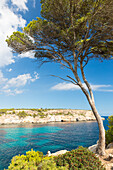 bay with turquoise blue sea, near Calo des Moro, Mediterranean Sea, near Santanyi, Majorca, Balearic Islands, Spain, Europe