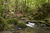 Ehrbachklamm, Rhein-Hunsrück Kreis, Hunsrück, Rheinland-Pfalz, Deutschland, Europa