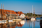 Marina with traditional sailing boats, Neustadt, Baltic Coast, Schleswig-Holstein, Germany