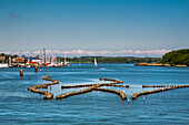 Historic herring fence, Kappeln, Schlei, Schlei Fjord, Baltic Coast, Schleswig-Holstein, Germany