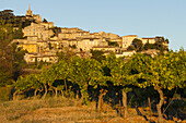 Bonnieux, village, vineyard, grape vines, Luberon mountains, Luberon, natural park, Vaucluse, Provence, France, Europe