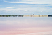 Salt marshes near Aigues-Mortes, Camargue, Gard, Languedoc-Roussillon, France