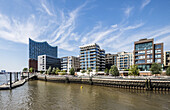 Blick auf die Elbphilharmonie und Dalmannkai in der Hafencity Hamburg, Hamburg, Deutschland