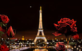 Paris at night with Eiffel Tower and roses, Paris, France