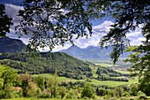 View towards the Inn valley near Nussdorf, Upper Bavaria, Bavaria, Germany