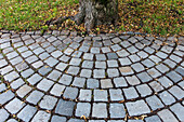 paved footpath, concentric pattern, Olympiapark Munich, Bavaria, Germany