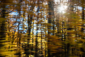 Herbststimmung abstrakt, Oberbayern, Deutschland, Europa