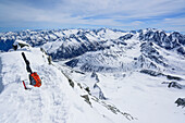 Blick auf Zillertaler Alpen mit Großer Möseler und Hochferner vom Schrammacher, Schrammacher, Pfitschtal, Zillertaler Alpen, Südtirol, Italien