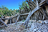 Stall aus Wacholderästen, Selvaggio Blu, Nationalpark Golfo di Orosei e del Gennargentu, Sardinien, Italien