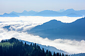 Sea of fog above valley of Iller, Aggenstein, Kuehgundkopf, Gimpel and Koellenspitze in background, from Siplingerkopf, valley of Balderschwang, Allgaeu Alps, Allgaeu, Svabia, Bavaria, Germany