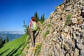 Woman hiking ascending over molasse conglomerate to Heidenkopf, Heidenkopf, valley of Balderschwang, Allgaeu Alps, Allgaeu, Svabia, Bavaria, Germany