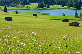 Meadow with flowers, haystacks and lake in background, lake Geroldsee, Werdenfels, Garmisch-Partenkirchen, Bavarian Alps, Upper Bavaria, Bavaria, Germany