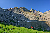 Woman hiking ascending on meadow, valley Fundaistal, Lechtal Alps, Tyrol, Austria