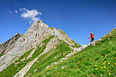 Woman hiking through meadow with flowers, rock spire in background, Lechtal Alps, Tyrol, Austria