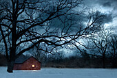 Bare tree over lit barn in snowy meadow, Rochester, mi, usa