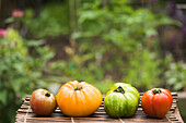 Colorful heirloom tomatoes on table outdoors, Miami Beach, Florida, United States