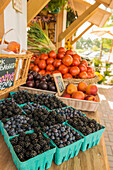 Berries at farmers market, Virginia Beach VA, VA, USA