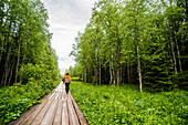Caucasian hiker on wooden walkway in forest, Chelabinsk, Ural, Russia