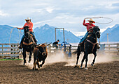 Caucasian mother and son chasing cattle at rodeo, Jospeh, Oregon, USA