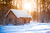 Log cabin in clearing in snowy forest, C1