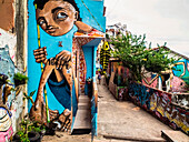 Brazil, Salvador de Bahia, favela, painted house