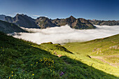 Europe, France, Hautes-Pyrénées, Tourmalet, Barèges valley, sea of clouds
