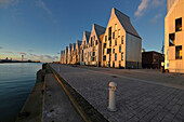 Europe,France, docks and buildings écoquartier Grand Large in Dunkirk. Sunset light(architecte Nicolas Michelin)