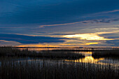 France, Bouches du Rhône, Natural Park of Camargue. Bouches du Rhone, Sunset on a pond surrounded by reeds