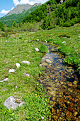 France, Midi Pyrenees, Ariege, Couserans, stream of Garbet