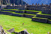 Inca ruins at Machu Picchu in Peru,South America